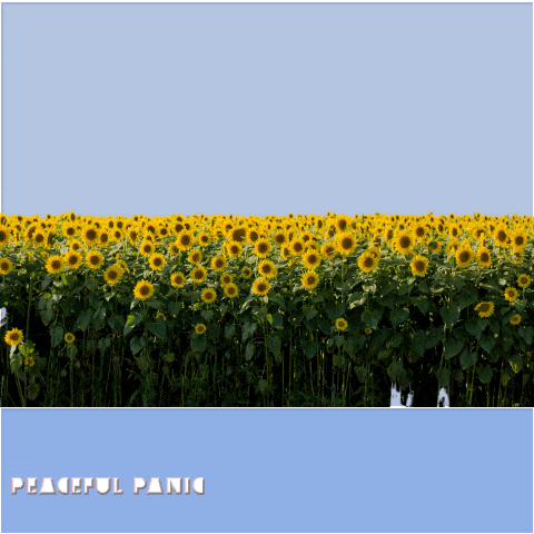 Peaceful Panic